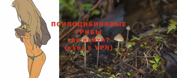 стафф Дмитриев