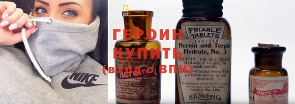 гашик Дмитров