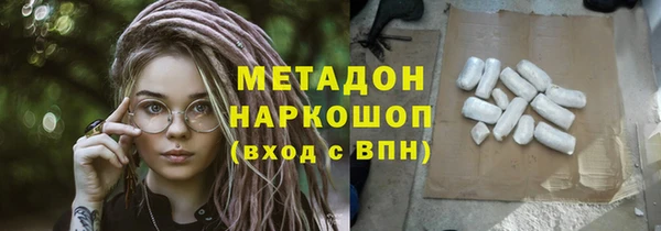 гашик Дмитров