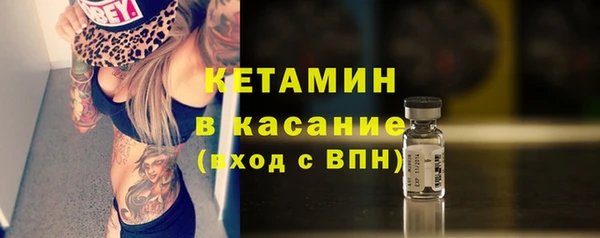 стафф Дмитриев