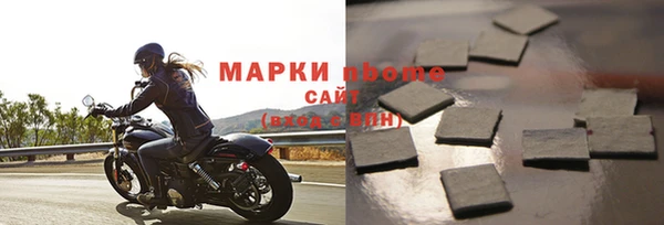 гашик Дмитров