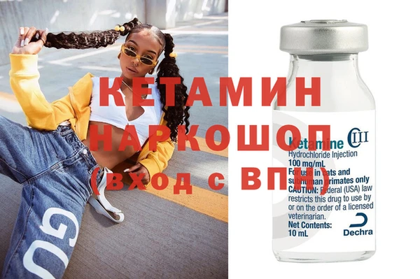 гашик Дмитров