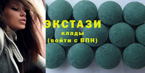 гашик Дмитров