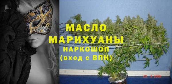 гашик Дмитров