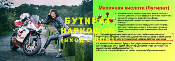 гашик Дмитров