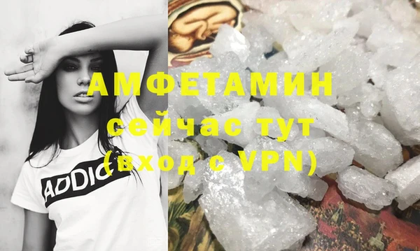 стафф Дмитриев