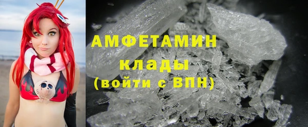гашик Дмитров