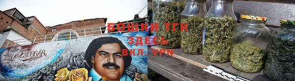 стафф Дмитриев
