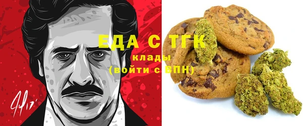 гашик Дмитров