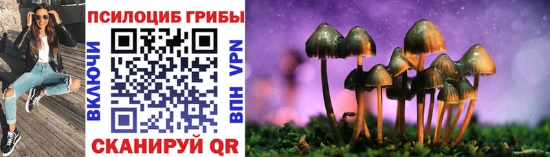 что такое наркотик  Эртиль  Псилоцибиновые грибы мицелий 